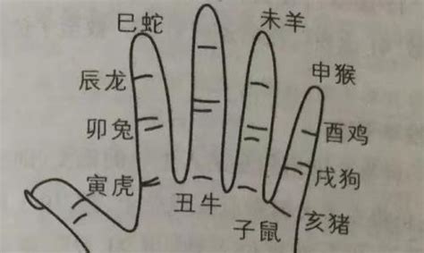 掐指一算|掐指一算口诀图解 掐指一算口诀寻物最新